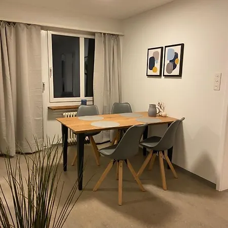 Comfort 1 And 2bdr Close To Airport Daire *