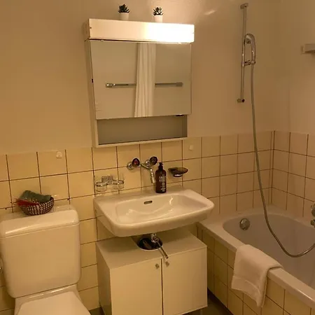 Comfort 1 And 2bdr Close To Airport Daire *