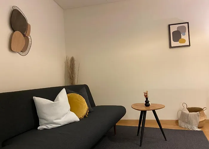 Lejlighed Comfort 1 And 2bdr Close To Airport Zürich